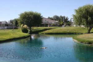 Photo 12 from Labor Day 2015 at Desert Greens Community