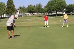 Photo 6 from 4th of July 2017 at Desert Greens Community