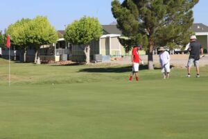 Photo 9 from 4th of July 2017 at Desert Greens Community