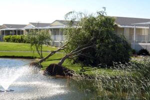 Wind Storm 2008, Desert Greens Community, Pahrump, Nevada
