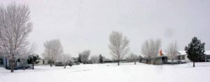 Photo 8 from Snow Desert Green Jan 2011 at Desert Greens Community