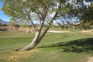 Photo 13 from Primm Golf 2010 at Desert Greens Community