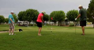 Photo 9 from Forth of July 2015 at Desert Greens Community