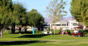 Photo 6 from Halloween 2016 at Desert Greens Community