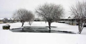 Photo 7 from Snow Desert Green Jan 2011 at Desert Greens Community