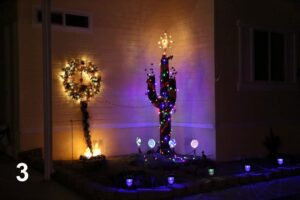 Photo 3 from Christmas Decorations 2017 at Desert Greens Community